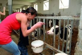 Garabonciás 7 Vezér Történelmi Kalandfarm – 5. kép