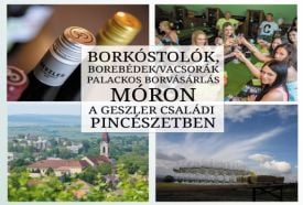 Geszler Családi Pincészet - Modern látványborászat