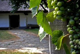 Göcseji Falumúzeum – 4. kép