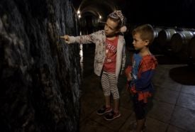 Gróf Buttler Borászat és Rendezvényközpont – 4. kép