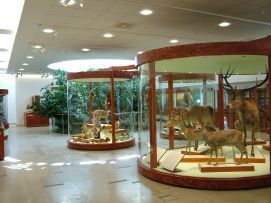Mátra Múzeum – 5. kép