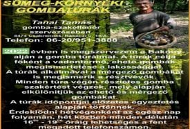 Ha gombaszezon, akkor gombatúra!- Sümegen