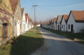 Hajósi Pincefalu