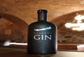 Hemingway Cult & Bar