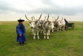 Hortobágyi Nemzeti Park - a Puszta (1999) – 4. kép