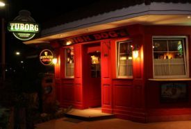 Irish Dog Pub