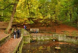 Írottkő Natúrpark – 5. kép