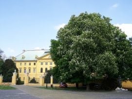 Kalocsai Érseki palota