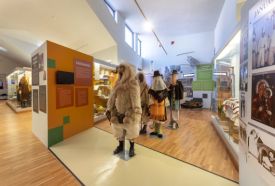 Kanizsai Dorottya Múzeum – 4. kép