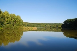 Desedai Parkerdő és Arborétum – 3. kép