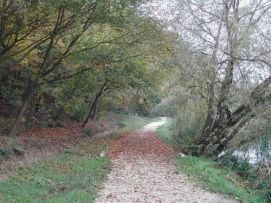 Desedai Parkerdő és Arborétum – 5. kép