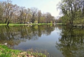 Károlyi-kastély parkja – 2. kép
