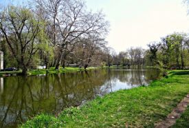 Károlyi-kastély parkja