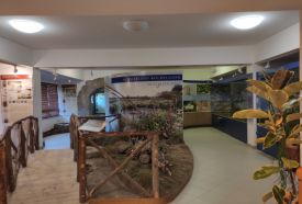 Kis-Balaton Ház – 2. kép