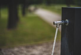 Kneipp ® park – 2. kép