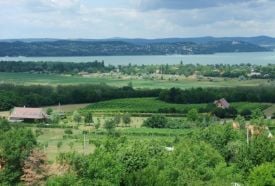 Kőhegyi Kilátó – 3. kép