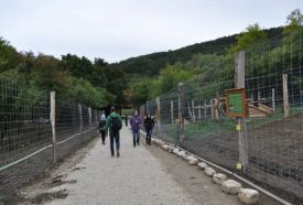 Koloska-völgyi Vadaspark – 2. kép