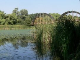 Kányavári Sziget