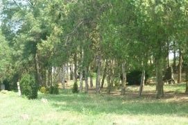 Vörös és Kék kápolna – 5. kép