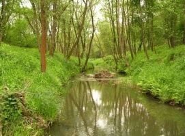 Őrségi Nemzeti Park