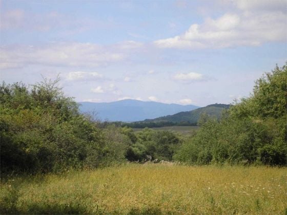 Kelet-Cserhát Tájvédelmi Körzet