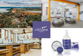 Lavender Tihany Látványműhely és kiállítás – 2. kép