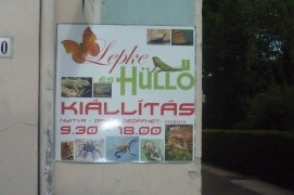 Lepke- és egzotikus hüllőkiállítás – 5. kép