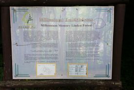 Milleneumi Emlékhársas – 3. kép