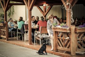 Monaco Pizzéria és Étterem – 5. kép