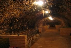 Bozóky Pincészet és Bormúzeum – 2. kép