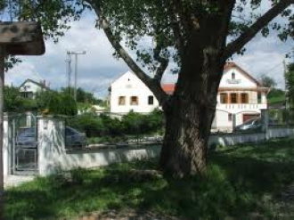 Juliusvin Bt.-Orosz Gyula Pincészete