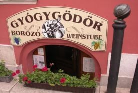 Gyógygödör Borozó