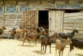 Nagyrédei Kecskefarm