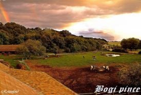 Bogi Pince – 2. kép