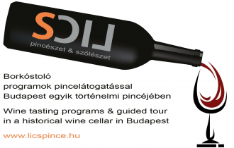 Lics Pince BUDAFOK – 2. kép