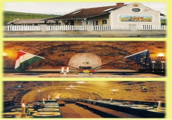 Európa Centruma Pinceborozó