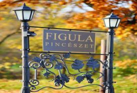 Figula Családi Pincészet – 3. kép