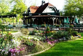 Irish pub 424