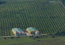 Nobilis Pálinkafarm
