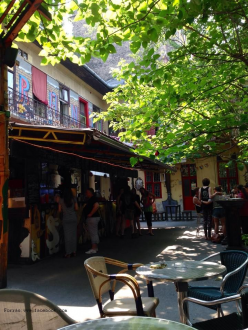 Grandio Jungle Bar & Grill