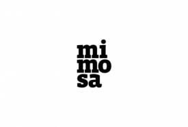 Mimosa Lounge Art • Bar • Café