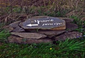 Nagyék pincéje – 5. kép
