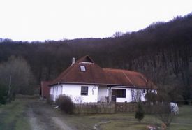 Banyatanya