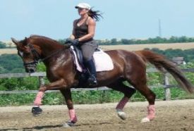 3R Biofarm Lovarda