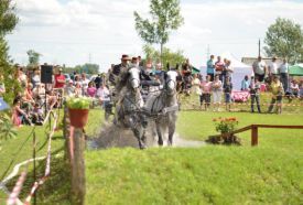 Nagykőrösi Lovas Sportegyesület