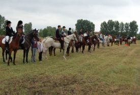 Remény Lovasiskola – 3. kép