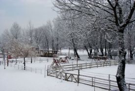 Ameko Lovas- és Szabadidőközpont – 4. kép