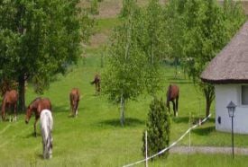 Galopp Major – 5. kép