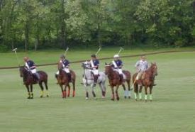 Káli Polo Club