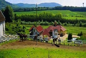 Rozmaring Lovasudvar